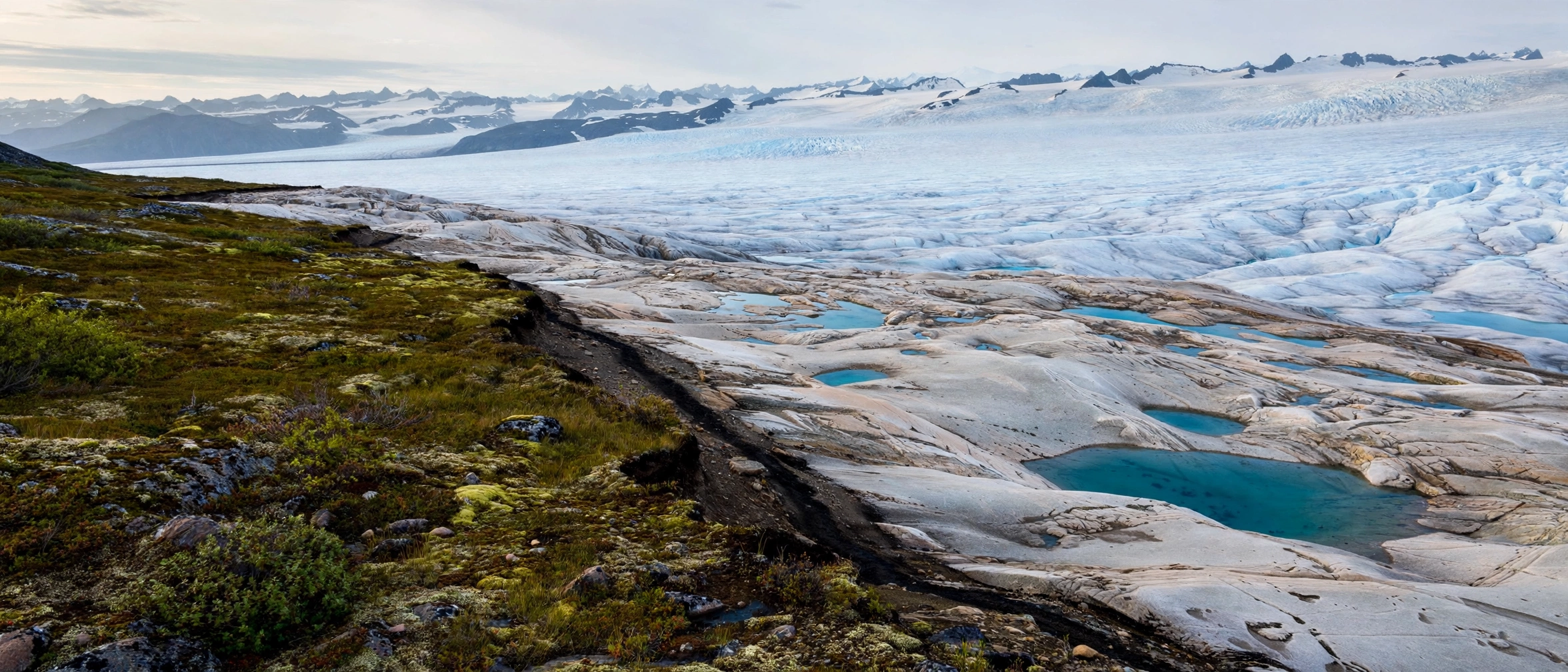 Vast Arctic ice cap edge with meltwater pools under pale northern sky